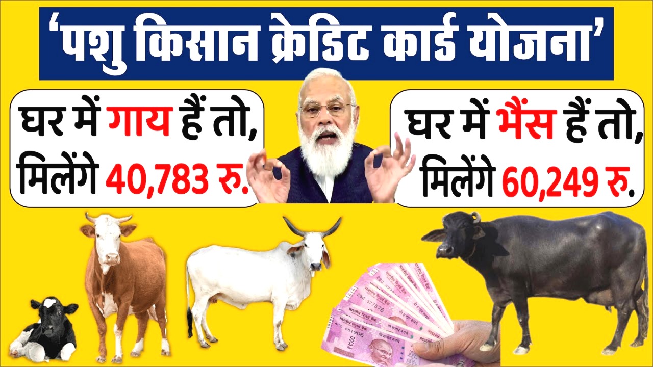 पशु किसान क्रेडिट कार्ड योजना 2025
